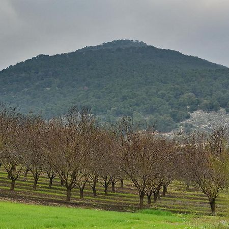 Pearl Of The Valley Hotel Kfar Tavor Eksteriør billede