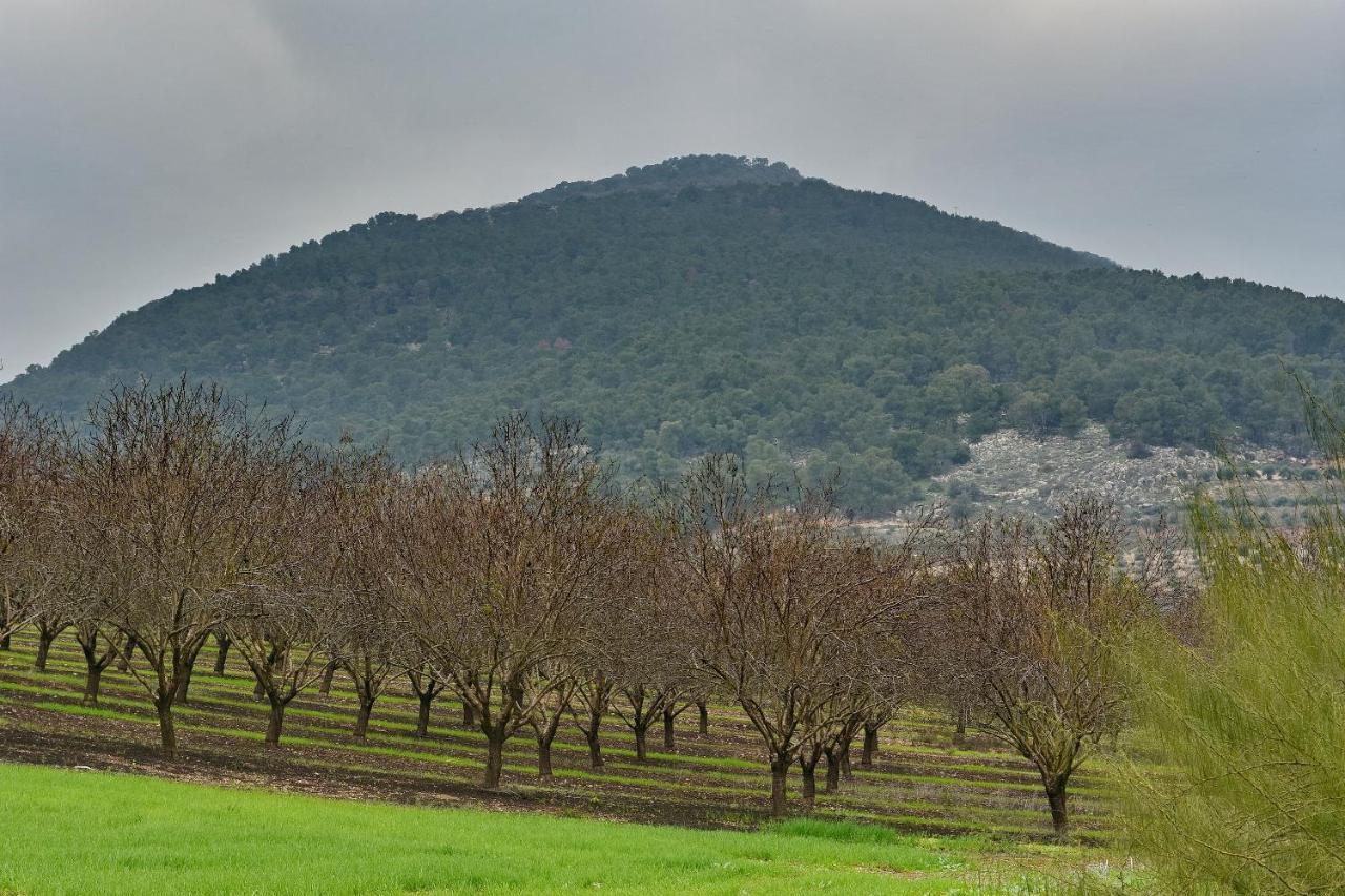 Pearl Of The Valley Hotel Kfar Tavor Eksteriør billede