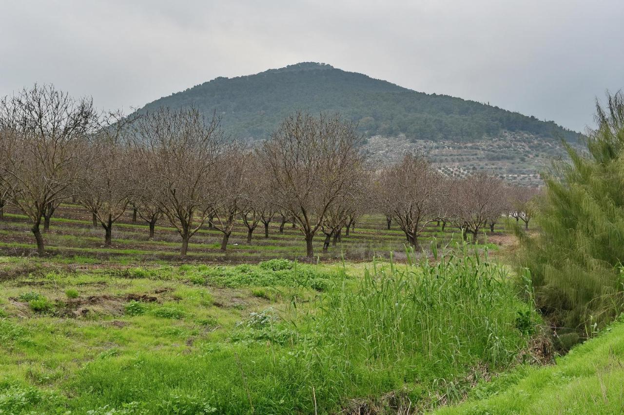 Pearl Of The Valley Hotel Kfar Tavor Eksteriør billede